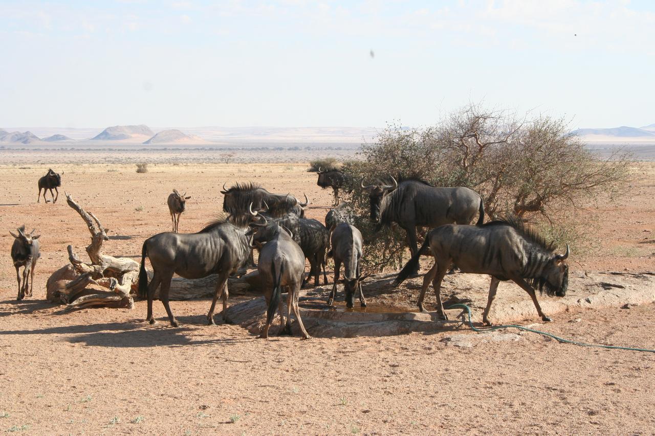 Namib Naukluft Lodge Solitaire Exterior foto